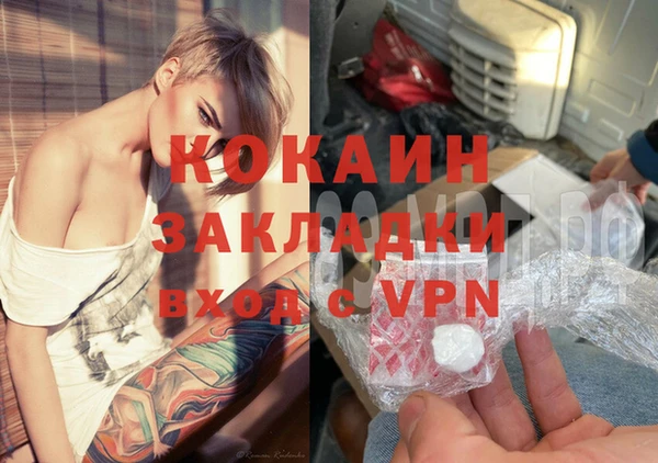 кокс Арсеньев
